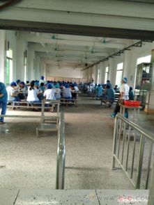 深耕十二載，專業鑄就信賴 德華餐飲引領工廠食堂對外承包新風尚